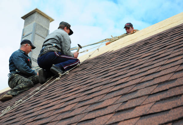 Quick and Trustworthy Emergency Roof Repair Services in Sharpsburg, PA