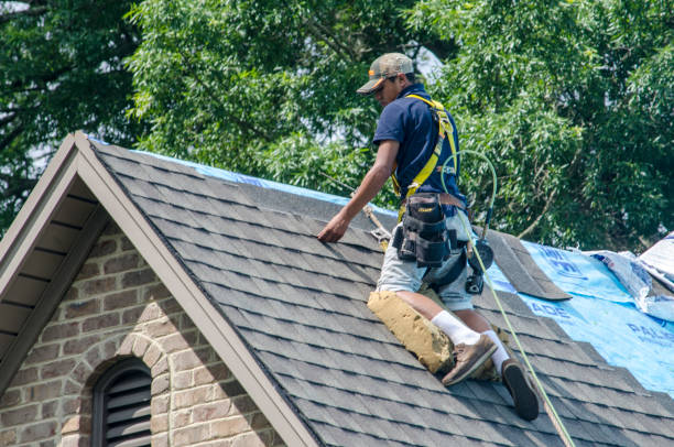 Roof Gutter Cleaning in Sharpsburg, PA